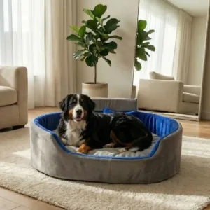 Bolster Orthopedic Dog Bed, dog bed, premium dog bed, orthopedic dog bed, soft dog bed, pet bed for dogs, comfortable dog bed, washable dog bed, dog bed with cushion, premium orthopedic dog bed for large dogs, soft and comfortable dog bed with cushion, durable dog bed with PU foam support, luxury pet bed for small and medium dogs, breathable dog bed for summer and winter, stylish modern dog bed for home, lightweight dog bed easy to carry, dog bed with bone shape pillow, buy dog bed online India, best dog bed for home use, affordable premium dog bed, high quality pet bed India, dog bed under budget, cozy dog bed, luxury pet comfort bed, soft plush dog bed, designer dog bed, pet sleeping bed, dog sofa bed, dog lounger bed, pet sofa bed, round dog bed, donut dog bed, calming dog bed, anti anxiety dog bed, raised edge dog bed, bolster dog bed, dog bed with side support, dog bed with high walls, puppy bed, small dog bed, medium dog bed, large dog bed, extra large dog bed, indoor dog bed, home pet bed, dog sleeping cushion, thick padded dog bed, fluffy dog bed, soft foam dog bed, PU foam dog bed, fiber filled dog bed, eco friendly dog bed, skin friendly dog bed, hypoallergenic dog bed, non toxic pet bed, durable pet bedding, long lasting dog bed, tear resistant dog bed, chew resistant dog bed, easy to clean dog bed, machine washable pet bed, removable cover dog bed, portable dog bed, travel dog bed, foldable dog bed, lightweight pet bed, luxury dog sofa, premium pet mattress, designer pet furniture, modern pet bed, aesthetic dog bed, comfortable pet mattress, pet relaxation bed, cozy pet nest, warm dog bed for winter, cool breathable dog bed for summer, all season dog bed, anti slip base dog bed, waterproof dog bed, indoor luxury pet bed, dog bed for crate, dog bed for living room, pet accessories dog bed, best selling dog bed, trending pet products, affordable pet bedding India, online pet supplies India