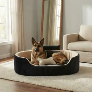 Bolster Orthopedic Dog Bed, dog bed, premium dog bed, orthopedic dog bed, soft dog bed, pet bed for dogs, comfortable dog bed, washable dog bed, dog bed with cushion, premium orthopedic dog bed for large dogs, soft and comfortable dog bed with cushion, durable dog bed with PU foam support, luxury pet bed for small and medium dogs, breathable dog bed for summer and winter, stylish modern dog bed for home, lightweight dog bed easy to carry, dog bed with bone shape pillow, buy dog bed online India, best dog bed for home use, affordable premium dog bed, high quality pet bed India, dog bed under budget, cozy dog bed, luxury pet comfort bed, soft plush dog bed, designer dog bed, pet sleeping bed, dog sofa bed, dog lounger bed, pet sofa bed, round dog bed, donut dog bed, calming dog bed, anti anxiety dog bed, raised edge dog bed, bolster dog bed, dog bed with side support, dog bed with high walls, puppy bed, small dog bed, medium dog bed, large dog bed, extra large dog bed, indoor dog bed, home pet bed, dog sleeping cushion, thick padded dog bed, fluffy dog bed, soft foam dog bed, PU foam dog bed, fiber filled dog bed, eco friendly dog bed, skin friendly dog bed, hypoallergenic dog bed, non toxic pet bed, durable pet bedding, long lasting dog bed, tear resistant dog bed, chew resistant dog bed, easy to clean dog bed, machine washable pet bed, removable cover dog bed, portable dog bed, travel dog bed, foldable dog bed, lightweight pet bed, luxury dog sofa, premium pet mattress, designer pet furniture, modern pet bed, aesthetic dog bed, comfortable pet mattress, pet relaxation bed, cozy pet nest, warm dog bed for winter, cool breathable dog bed for summer, all season dog bed, anti slip base dog bed, waterproof dog bed, indoor luxury pet bed, dog bed for crate, dog bed for living room, pet accessories dog bed, best selling dog bed, trending pet products, affordable pet bedding India, online pet supplies India