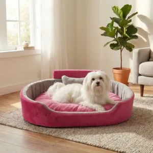Bolster Orthopedic Dog Bed, dog bed, premium dog bed, orthopedic dog bed, soft dog bed, pet bed for dogs, comfortable dog bed, washable dog bed, dog bed with cushion, premium orthopedic dog bed for large dogs, soft and comfortable dog bed with cushion, durable dog bed with PU foam support, luxury pet bed for small and medium dogs, breathable dog bed for summer and winter, stylish modern dog bed for home, lightweight dog bed easy to carry, dog bed with bone shape pillow, buy dog bed online India, best dog bed for home use, affordable premium dog bed, high quality pet bed India, dog bed under budget, cozy dog bed, luxury pet comfort bed, soft plush dog bed, designer dog bed, pet sleeping bed, dog sofa bed, dog lounger bed, pet sofa bed, round dog bed, donut dog bed, calming dog bed, anti anxiety dog bed, raised edge dog bed, bolster dog bed, dog bed with side support, dog bed with high walls, puppy bed, small dog bed, medium dog bed, large dog bed, extra large dog bed, indoor dog bed, home pet bed, dog sleeping cushion, thick padded dog bed, fluffy dog bed, soft foam dog bed, PU foam dog bed, fiber filled dog bed, eco friendly dog bed, skin friendly dog bed, hypoallergenic dog bed, non toxic pet bed, durable pet bedding, long lasting dog bed, tear resistant dog bed, chew resistant dog bed, easy to clean dog bed, machine washable pet bed, removable cover dog bed, portable dog bed, travel dog bed, foldable dog bed, lightweight pet bed, luxury dog sofa, premium pet mattress, designer pet furniture, modern pet bed, aesthetic dog bed, comfortable pet mattress, pet relaxation bed, cozy pet nest, warm dog bed for winter, cool breathable dog bed for summer, all season dog bed, anti slip base dog bed, waterproof dog bed, indoor luxury pet bed, dog bed for crate, dog bed for living room, pet accessories dog bed, best selling dog bed, trending pet products, affordable pet bedding India, online pet supplies India