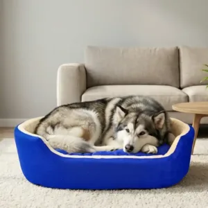 dog bed, premium dog bed, orthopedic dog bed, soft dog bed, pet bed for dogs, comfortable dog bed, washable dog bed, dog bed with cushion, premium orthopedic dog bed for large dogs, soft and comfortable dog bed with cushion, durable dog bed with PU foam support, luxury pet bed for small and medium dogs, breathable dog bed for summer and winter, stylish modern dog bed for home, lightweight dog bed easy to carry, dog bed with bone shape pillow, buy dog bed online India, best dog bed for home use, affordable premium dog bed, high quality pet bed India, dog bed under budget, cozy dog bed, luxury pet comfort bed, soft plush dog bed, designer dog bed, pet sleeping bed, dog sofa bed, dog lounger bed, pet sofa bed, round dog bed, donut dog bed, calming dog bed, anti anxiety dog bed, raised edge dog bed, bolster dog bed, dog bed with side support, dog bed with high walls, puppy bed, small dog bed, medium dog bed, large dog bed, extra large dog bed, indoor dog bed, home pet bed, dog sleeping cushion, thick padded dog bed, fluffy dog bed, soft foam dog bed, PU foam dog bed, fiber filled dog bed, eco friendly dog bed, skin friendly dog bed, hypoallergenic dog bed, non toxic pet bed, durable pet bedding, long lasting dog bed, tear resistant dog bed, chew resistant dog bed, easy to clean dog bed, machine washable pet bed, removable cover dog bed, portable dog bed, travel dog bed, foldable dog bed, lightweight pet bed, luxury dog sofa, premium pet mattress, designer pet furniture, modern pet bed, aesthetic dog bed, comfortable pet mattress, pet relaxation bed, cozy pet nest, warm dog bed for winter, cool breathable dog bed for summer, all season dog bed, anti slip base dog bed, waterproof dog bed, indoor luxury pet bed, dog bed for crate, dog bed for living room, pet accessories dog bed, best selling dog bed, trending pet products, affordable pet bedding India, online pet supplies India