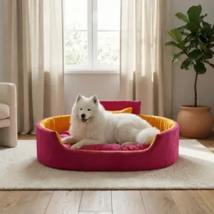 Bolster Orthopedic Dog Bed, dog bed, premium dog bed, orthopedic dog bed, soft dog bed, pet bed for dogs, comfortable dog bed, washable dog bed, dog bed with cushion, premium orthopedic dog bed for large dogs, soft and comfortable dog bed with cushion, durable dog bed with PU foam support, luxury pet bed for small and medium dogs, breathable dog bed for summer and winter, stylish modern dog bed for home, lightweight dog bed easy to carry, dog bed with bone shape pillow, buy dog bed online India, best dog bed for home use, affordable premium dog bed, high quality pet bed India, dog bed under budget, cozy dog bed, luxury pet comfort bed, soft plush dog bed, designer dog bed, pet sleeping bed, dog sofa bed, dog lounger bed, pet sofa bed, round dog bed, donut dog bed, calming dog bed, anti anxiety dog bed, raised edge dog bed, bolster dog bed, dog bed with side support, dog bed with high walls, puppy bed, small dog bed, medium dog bed, large dog bed, extra large dog bed, indoor dog bed, home pet bed, dog sleeping cushion, thick padded dog bed, fluffy dog bed, soft foam dog bed, PU foam dog bed, fiber filled dog bed, eco friendly dog bed, skin friendly dog bed, hypoallergenic dog bed, non toxic pet bed, durable pet bedding, long lasting dog bed, tear resistant dog bed, chew resistant dog bed, easy to clean dog bed, machine washable pet bed, removable cover dog bed, portable dog bed, travel dog bed, foldable dog bed, lightweight pet bed, luxury dog sofa, premium pet mattress, designer pet furniture, modern pet bed, aesthetic dog bed, comfortable pet mattress, pet relaxation bed, cozy pet nest, warm dog bed for winter, cool breathable dog bed for summer, all season dog bed, anti slip base dog bed, waterproof dog bed, indoor luxury pet bed, dog bed for crate, dog bed for living room, pet accessories dog bed, best selling dog bed, trending pet products, affordable pet bedding India, online pet supplies India