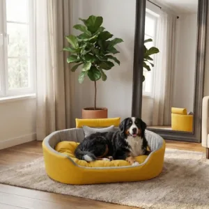 Bolster Orthopedic Dog Bed, dog bed, premium dog bed, orthopedic dog bed, soft dog bed, pet bed for dogs, comfortable dog bed, washable dog bed, dog bed with cushion, premium orthopedic dog bed for large dogs, soft and comfortable dog bed with cushion, durable dog bed with PU foam support, luxury pet bed for small and medium dogs, breathable dog bed for summer and winter, stylish modern dog bed for home, lightweight dog bed easy to carry, dog bed with bone shape pillow, buy dog bed online India, best dog bed for home use, affordable premium dog bed, high quality pet bed India, dog bed under budget, cozy dog bed, luxury pet comfort bed, soft plush dog bed, designer dog bed, pet sleeping bed, dog sofa bed, dog lounger bed, pet sofa bed, round dog bed, donut dog bed, calming dog bed, anti anxiety dog bed, raised edge dog bed, bolster dog bed, dog bed with side support, dog bed with high walls, puppy bed, small dog bed, medium dog bed, large dog bed, extra large dog bed, indoor dog bed, home pet bed, dog sleeping cushion, thick padded dog bed, fluffy dog bed, soft foam dog bed, PU foam dog bed, fiber filled dog bed, eco friendly dog bed, skin friendly dog bed, hypoallergenic dog bed, non toxic pet bed, durable pet bedding, long lasting dog bed, tear resistant dog bed, chew resistant dog bed, easy to clean dog bed, machine washable pet bed, removable cover dog bed, portable dog bed, travel dog bed, foldable dog bed, lightweight pet bed, luxury dog sofa, premium pet mattress, designer pet furniture, modern pet bed, aesthetic dog bed, comfortable pet mattress, pet relaxation bed, cozy pet nest, warm dog bed for winter, cool breathable dog bed for summer, all season dog bed, anti slip base dog bed, waterproof dog bed, indoor luxury pet bed, dog bed for crate, dog bed for living room, pet accessories dog bed, best selling dog bed, trending pet products, affordable pet bedding India, online pet supplies India