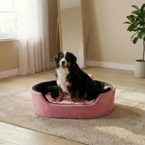 Bolster Orthopedic Dog Bed, dog bed, premium dog bed, orthopedic dog bed, soft dog bed, pet bed for dogs, comfortable dog bed, washable dog bed, dog bed with cushion, premium orthopedic dog bed for large dogs, soft and comfortable dog bed with cushion, durable dog bed with PU foam support, luxury pet bed for small and medium dogs, breathable dog bed for summer and winter, stylish modern dog bed for home, lightweight dog bed easy to carry, dog bed with bone shape pillow, buy dog bed online India, best dog bed for home use, affordable premium dog bed, high quality pet bed India, dog bed under budget, cozy dog bed, luxury pet comfort bed, soft plush dog bed, designer dog bed, pet sleeping bed, dog sofa bed, dog lounger bed, pet sofa bed, round dog bed, donut dog bed, calming dog bed, anti anxiety dog bed, raised edge dog bed, bolster dog bed, dog bed with side support, dog bed with high walls, puppy bed, small dog bed, medium dog bed, large dog bed, extra large dog bed, indoor dog bed, home pet bed, dog sleeping cushion, thick padded dog bed, fluffy dog bed, soft foam dog bed, PU foam dog bed, fiber filled dog bed, eco friendly dog bed, skin friendly dog bed, hypoallergenic dog bed, non toxic pet bed, durable pet bedding, long lasting dog bed, tear resistant dog bed, chew resistant dog bed, easy to clean dog bed, machine washable pet bed, removable cover dog bed, portable dog bed, travel dog bed, foldable dog bed, lightweight pet bed, luxury dog sofa, premium pet mattress, designer pet furniture, modern pet bed, aesthetic dog bed, comfortable pet mattress, pet relaxation bed, cozy pet nest, warm dog bed for winter, cool breathable dog bed for summer, all season dog bed, anti slip base dog bed, waterproof dog bed, indoor luxury pet bed, dog bed for crate, dog bed for living room, pet accessories dog bed, best selling dog bed, trending pet products, affordable pet bedding India, online pet supplies India
