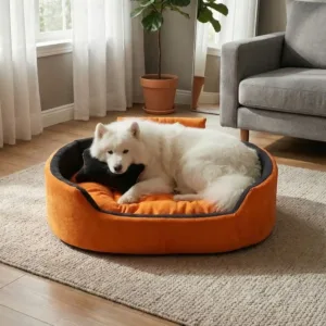 Bolster Orthopedic Dog Bed, dog bed, premium dog bed, orthopedic dog bed, soft dog bed, pet bed for dogs, comfortable dog bed, washable dog bed, dog bed with cushion, premium orthopedic dog bed for large dogs, soft and comfortable dog bed with cushion, durable dog bed with PU foam support, luxury pet bed for small and medium dogs, breathable dog bed for summer and winter, stylish modern dog bed for home, lightweight dog bed easy to carry, dog bed with bone shape pillow, buy dog bed online India, best dog bed for home use, affordable premium dog bed, high quality pet bed India, dog bed under budget, cozy dog bed, luxury pet comfort bed, soft plush dog bed, designer dog bed, pet sleeping bed, dog sofa bed, dog lounger bed, pet sofa bed, round dog bed, donut dog bed, calming dog bed, anti anxiety dog bed, raised edge dog bed, bolster dog bed, dog bed with side support, dog bed with high walls, puppy bed, small dog bed, medium dog bed, large dog bed, extra large dog bed, indoor dog bed, home pet bed, dog sleeping cushion, thick padded dog bed, fluffy dog bed, soft foam dog bed, PU foam dog bed, fiber filled dog bed, eco friendly dog bed, skin friendly dog bed, hypoallergenic dog bed, non toxic pet bed, durable pet bedding, long lasting dog bed, tear resistant dog bed, chew resistant dog bed, easy to clean dog bed, machine washable pet bed, removable cover dog bed, portable dog bed, travel dog bed, foldable dog bed, lightweight pet bed, luxury dog sofa, premium pet mattress, designer pet furniture, modern pet bed, aesthetic dog bed, comfortable pet mattress, pet relaxation bed, cozy pet nest, warm dog bed for winter, cool breathable dog bed for summer, all season dog bed, anti slip base dog bed, waterproof dog bed, indoor luxury pet bed, dog bed for crate, dog bed for living room, pet accessories dog bed, best selling dog bed, trending pet products, affordable pet bedding India, online pet supplies India