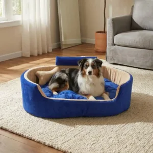 Bolster Orthopedic Dog Bed, dog bed, premium dog bed, orthopedic dog bed, soft dog bed, pet bed for dogs, comfortable dog bed, washable dog bed, dog bed with cushion, premium orthopedic dog bed for large dogs, soft and comfortable dog bed with cushion, durable dog bed with PU foam support, luxury pet bed for small and medium dogs, breathable dog bed for summer and winter, stylish modern dog bed for home, lightweight dog bed easy to carry, dog bed with bone shape pillow, buy dog bed online India, best dog bed for home use, affordable premium dog bed, high quality pet bed India, dog bed under budget, cozy dog bed, luxury pet comfort bed, soft plush dog bed, designer dog bed, pet sleeping bed, dog sofa bed, dog lounger bed, pet sofa bed, round dog bed, donut dog bed, calming dog bed, anti anxiety dog bed, raised edge dog bed, bolster dog bed, dog bed with side support, dog bed with high walls, puppy bed, small dog bed, medium dog bed, large dog bed, extra large dog bed, indoor dog bed, home pet bed, dog sleeping cushion, thick padded dog bed, fluffy dog bed, soft foam dog bed, PU foam dog bed, fiber filled dog bed, eco friendly dog bed, skin friendly dog bed, hypoallergenic dog bed, non toxic pet bed, durable pet bedding, long lasting dog bed, tear resistant dog bed, chew resistant dog bed, easy to clean dog bed, machine washable pet bed, removable cover dog bed, portable dog bed, travel dog bed, foldable dog bed, lightweight pet bed, luxury dog sofa, premium pet mattress, designer pet furniture, modern pet bed, aesthetic dog bed, comfortable pet mattress, pet relaxation bed, cozy pet nest, warm dog bed for winter, cool breathable dog bed for summer, all season dog bed, anti slip base dog bed, waterproof dog bed, indoor luxury pet bed, dog bed for crate, dog bed for living room, pet accessories dog bed, best selling dog bed, trending pet products, affordable pet bedding India, online pet supplies India
