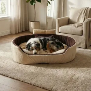 Bolster Orthopedic Dog Bed, dog bed, premium dog bed, orthopedic dog bed, soft dog bed, pet bed for dogs, comfortable dog bed, washable dog bed, dog bed with cushion, premium orthopedic dog bed for large dogs, soft and comfortable dog bed with cushion, durable dog bed with PU foam support, luxury pet bed for small and medium dogs, breathable dog bed for summer and winter, stylish modern dog bed for home, lightweight dog bed easy to carry, dog bed with bone shape pillow, buy dog bed online India, best dog bed for home use, affordable premium dog bed, high quality pet bed India, dog bed under budget, cozy dog bed, luxury pet comfort bed, soft plush dog bed, designer dog bed, pet sleeping bed, dog sofa bed, dog lounger bed, pet sofa bed, round dog bed, donut dog bed, calming dog bed, anti anxiety dog bed, raised edge dog bed, bolster dog bed, dog bed with side support, dog bed with high walls, puppy bed, small dog bed, medium dog bed, large dog bed, extra large dog bed, indoor dog bed, home pet bed, dog sleeping cushion, thick padded dog bed, fluffy dog bed, soft foam dog bed, PU foam dog bed, fiber filled dog bed, eco friendly dog bed, skin friendly dog bed, hypoallergenic dog bed, non toxic pet bed, durable pet bedding, long lasting dog bed, tear resistant dog bed, chew resistant dog bed, easy to clean dog bed, machine washable pet bed, removable cover dog bed, portable dog bed, travel dog bed, foldable dog bed, lightweight pet bed, luxury dog sofa, premium pet mattress, designer pet furniture, modern pet bed, aesthetic dog bed, comfortable pet mattress, pet relaxation bed, cozy pet nest, warm dog bed for winter, cool breathable dog bed for summer, all season dog bed, anti slip base dog bed, waterproof dog bed, indoor luxury pet bed, dog bed for crate, dog bed for living room, pet accessories dog bed, best selling dog bed, trending pet products, affordable pet bedding India, online pet supplies India