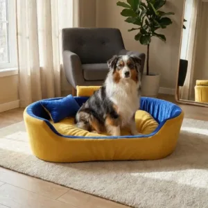 Bolster Orthopedic Dog Bed, dog bed, premium dog bed, orthopedic dog bed, soft dog bed, pet bed for dogs, comfortable dog bed, washable dog bed, dog bed with cushion, premium orthopedic dog bed for large dogs, soft and comfortable dog bed with cushion, durable dog bed with PU foam support, luxury pet bed for small and medium dogs, breathable dog bed for summer and winter, stylish modern dog bed for home, lightweight dog bed easy to carry, dog bed with bone shape pillow, buy dog bed online India, best dog bed for home use, affordable premium dog bed, high quality pet bed India, dog bed under budget, cozy dog bed, luxury pet comfort bed, soft plush dog bed, designer dog bed, pet sleeping bed, dog sofa bed, dog lounger bed, pet sofa bed, round dog bed, donut dog bed, calming dog bed, anti anxiety dog bed, raised edge dog bed, bolster dog bed, dog bed with side support, dog bed with high walls, puppy bed, small dog bed, medium dog bed, large dog bed, extra large dog bed, indoor dog bed, home pet bed, dog sleeping cushion, thick padded dog bed, fluffy dog bed, soft foam dog bed, PU foam dog bed, fiber filled dog bed, eco friendly dog bed, skin friendly dog bed, hypoallergenic dog bed, non toxic pet bed, durable pet bedding, long lasting dog bed, tear resistant dog bed, chew resistant dog bed, easy to clean dog bed, machine washable pet bed, removable cover dog bed, portable dog bed, travel dog bed, foldable dog bed, lightweight pet bed, luxury dog sofa, premium pet mattress, designer pet furniture, modern pet bed, aesthetic dog bed, comfortable pet mattress, pet relaxation bed, cozy pet nest, warm dog bed for winter, cool breathable dog bed for summer, all season dog bed, anti slip base dog bed, waterproof dog bed, indoor luxury pet bed, dog bed for crate, dog bed for living room, pet accessories dog bed, best selling dog bed, trending pet products, affordable pet bedding India, online pet supplies India