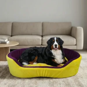 dog bed, premium dog bed, orthopedic dog bed, soft dog bed, pet bed for dogs, comfortable dog bed, washable dog bed, dog bed with cushion, premium orthopedic dog bed for large dogs, soft and comfortable dog bed with cushion, durable dog bed with PU foam support, luxury pet bed for small and medium dogs, breathable dog bed for summer and winter, stylish modern dog bed for home, lightweight dog bed easy to carry, dog bed with bone shape pillow, buy dog bed online India, best dog bed for home use, affordable premium dog bed, high quality pet bed India, dog bed under budget, cozy dog bed, luxury pet comfort bed, soft plush dog bed, designer dog bed, pet sleeping bed, dog sofa bed, dog lounger bed, pet sofa bed, round dog bed, donut dog bed, calming dog bed, anti anxiety dog bed, raised edge dog bed, bolster dog bed, dog bed with side support, dog bed with high walls, puppy bed, small dog bed, medium dog bed, large dog bed, extra large dog bed, indoor dog bed, home pet bed, dog sleeping cushion, thick padded dog bed, fluffy dog bed, soft foam dog bed, PU foam dog bed, fiber filled dog bed, eco friendly dog bed, skin friendly dog bed, hypoallergenic dog bed, non toxic pet bed, durable pet bedding, long lasting dog bed, tear resistant dog bed, chew resistant dog bed, easy to clean dog bed, machine washable pet bed, removable cover dog bed, portable dog bed, travel dog bed, foldable dog bed, lightweight pet bed, luxury dog sofa, premium pet mattress, designer pet furniture, modern pet bed, aesthetic dog bed, comfortable pet mattress, pet relaxation bed, cozy pet nest, warm dog bed for winter, cool breathable dog bed for summer, all season dog bed, anti slip base dog bed, waterproof dog bed, indoor luxury pet bed, dog bed for crate, dog bed for living room, pet accessories dog bed, best selling dog bed, trending pet products, affordable pet bedding India, online pet supplies India