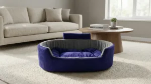 Bolster Orthopedic Dog Bed, dog bed, premium dog bed, orthopedic dog bed, soft dog bed, pet bed for dogs, comfortable dog bed, washable dog bed, dog bed with cushion, premium orthopedic dog bed for large dogs, soft and comfortable dog bed with cushion, durable dog bed with PU foam support, luxury pet bed for small and medium dogs, breathable dog bed for summer and winter, stylish modern dog bed for home, lightweight dog bed easy to carry, dog bed with bone shape pillow, buy dog bed online India, best dog bed for home use, affordable premium dog bed, high quality pet bed India, dog bed under budget, cozy dog bed, luxury pet comfort bed, soft plush dog bed, designer dog bed, pet sleeping bed, dog sofa bed, dog lounger bed, pet sofa bed, round dog bed, donut dog bed, calming dog bed, anti anxiety dog bed, raised edge dog bed, bolster dog bed, dog bed with side support, dog bed with high walls, puppy bed, small dog bed, medium dog bed, large dog bed, extra large dog bed, indoor dog bed, home pet bed, dog sleeping cushion, thick padded dog bed, fluffy dog bed, soft foam dog bed, PU foam dog bed, fiber filled dog bed, eco friendly dog bed, skin friendly dog bed, hypoallergenic dog bed, non toxic pet bed, durable pet bedding, long lasting dog bed, tear resistant dog bed, chew resistant dog bed, easy to clean dog bed, machine washable pet bed, removable cover dog bed, portable dog bed, travel dog bed, foldable dog bed, lightweight pet bed, luxury dog sofa, premium pet mattress, designer pet furniture, modern pet bed, aesthetic dog bed, comfortable pet mattress, pet relaxation bed, cozy pet nest, warm dog bed for winter, cool breathable dog bed for summer, all season dog bed, anti slip base dog bed, waterproof dog bed, indoor luxury pet bed, dog bed for crate, dog bed for living room, pet accessories dog bed, best selling dog bed, trending pet products, affordable pet bedding India, online pet supplies India