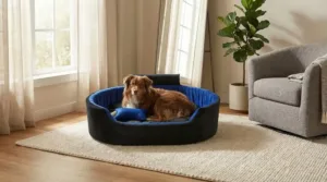 Bolster Orthopedic Dog Bed, dog bed, premium dog bed, orthopedic dog bed, soft dog bed, pet bed for dogs, comfortable dog bed, washable dog bed, dog bed with cushion, premium orthopedic dog bed for large dogs, soft and comfortable dog bed with cushion, durable dog bed with PU foam support, luxury pet bed for small and medium dogs, breathable dog bed for summer and winter, stylish modern dog bed for home, lightweight dog bed easy to carry, dog bed with bone shape pillow, buy dog bed online India, best dog bed for home use, affordable premium dog bed, high quality pet bed India, dog bed under budget, cozy dog bed, luxury pet comfort bed, soft plush dog bed, designer dog bed, pet sleeping bed, dog sofa bed, dog lounger bed, pet sofa bed, round dog bed, donut dog bed, calming dog bed, anti anxiety dog bed, raised edge dog bed, bolster dog bed, dog bed with side support, dog bed with high walls, puppy bed, small dog bed, medium dog bed, large dog bed, extra large dog bed, indoor dog bed, home pet bed, dog sleeping cushion, thick padded dog bed, fluffy dog bed, soft foam dog bed, PU foam dog bed, fiber filled dog bed, eco friendly dog bed, skin friendly dog bed, hypoallergenic dog bed, non toxic pet bed, durable pet bedding, long lasting dog bed, tear resistant dog bed, chew resistant dog bed, easy to clean dog bed, machine washable pet bed, removable cover dog bed, portable dog bed, travel dog bed, foldable dog bed, lightweight pet bed, luxury dog sofa, premium pet mattress, designer pet furniture, modern pet bed, aesthetic dog bed, comfortable pet mattress, pet relaxation bed, cozy pet nest, warm dog bed for winter, cool breathable dog bed for summer, all season dog bed, anti slip base dog bed, waterproof dog bed, indoor luxury pet bed, dog bed for crate, dog bed for living room, pet accessories dog bed, best selling dog bed, trending pet products, affordable pet bedding India, online pet supplies India