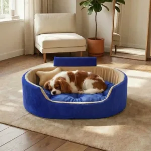 Bolster Orthopedic Dog Bed, dog bed, premium dog bed, orthopedic dog bed, soft dog bed, pet bed for dogs, comfortable dog bed, washable dog bed, dog bed with cushion, premium orthopedic dog bed for large dogs, soft and comfortable dog bed with cushion, durable dog bed with PU foam support, luxury pet bed for small and medium dogs, breathable dog bed for summer and winter, stylish modern dog bed for home, lightweight dog bed easy to carry, dog bed with bone shape pillow, buy dog bed online India, best dog bed for home use, affordable premium dog bed, high quality pet bed India, dog bed under budget, cozy dog bed, luxury pet comfort bed, soft plush dog bed, designer dog bed, pet sleeping bed, dog sofa bed, dog lounger bed, pet sofa bed, round dog bed, donut dog bed, calming dog bed, anti anxiety dog bed, raised edge dog bed, bolster dog bed, dog bed with side support, dog bed with high walls, puppy bed, small dog bed, medium dog bed, large dog bed, extra large dog bed, indoor dog bed, home pet bed, dog sleeping cushion, thick padded dog bed, fluffy dog bed, soft foam dog bed, PU foam dog bed, fiber filled dog bed, eco friendly dog bed, skin friendly dog bed, hypoallergenic dog bed, non toxic pet bed, durable pet bedding, long lasting dog bed, tear resistant dog bed, chew resistant dog bed, easy to clean dog bed, machine washable pet bed, removable cover dog bed, portable dog bed, travel dog bed, foldable dog bed, lightweight pet bed, luxury dog sofa, premium pet mattress, designer pet furniture, modern pet bed, aesthetic dog bed, comfortable pet mattress, pet relaxation bed, cozy pet nest, warm dog bed for winter, cool breathable dog bed for summer, all season dog bed, anti slip base dog bed, waterproof dog bed, indoor luxury pet bed, dog bed for crate, dog bed for living room, pet accessories dog bed, best selling dog bed, trending pet products, affordable pet bedding India, online pet supplies India