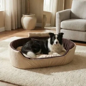 Bolster Orthopedic Dog Bed, dog bed, premium dog bed, orthopedic dog bed, soft dog bed, pet bed for dogs, comfortable dog bed, washable dog bed, dog bed with cushion, premium orthopedic dog bed for large dogs, soft and comfortable dog bed with cushion, durable dog bed with PU foam support, luxury pet bed for small and medium dogs, breathable dog bed for summer and winter, stylish modern dog bed for home, lightweight dog bed easy to carry, dog bed with bone shape pillow, buy dog bed online India, best dog bed for home use, affordable premium dog bed, high quality pet bed India, dog bed under budget, cozy dog bed, luxury pet comfort bed, soft plush dog bed, designer dog bed, pet sleeping bed, dog sofa bed, dog lounger bed, pet sofa bed, round dog bed, donut dog bed, calming dog bed, anti anxiety dog bed, raised edge dog bed, bolster dog bed, dog bed with side support, dog bed with high walls, puppy bed, small dog bed, medium dog bed, large dog bed, extra large dog bed, indoor dog bed, home pet bed, dog sleeping cushion, thick padded dog bed, fluffy dog bed, soft foam dog bed, PU foam dog bed, fiber filled dog bed, eco friendly dog bed, skin friendly dog bed, hypoallergenic dog bed, non toxic pet bed, durable pet bedding, long lasting dog bed, tear resistant dog bed, chew resistant dog bed, easy to clean dog bed, machine washable pet bed, removable cover dog bed, portable dog bed, travel dog bed, foldable dog bed, lightweight pet bed, luxury dog sofa, premium pet mattress, designer pet furniture, modern pet bed, aesthetic dog bed, comfortable pet mattress, pet relaxation bed, cozy pet nest, warm dog bed for winter, cool breathable dog bed for summer, all season dog bed, anti slip base dog bed, waterproof dog bed, indoor luxury pet bed, dog bed for crate, dog bed for living room, pet accessories dog bed, best selling dog bed, trending pet products, affordable pet bedding India, online pet supplies India