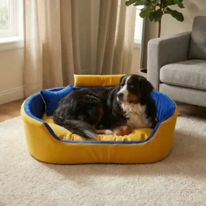 Bolster Orthopedic Dog Bed, dog bed, premium dog bed, orthopedic dog bed, soft dog bed, pet bed for dogs, comfortable dog bed, washable dog bed, dog bed with cushion, premium orthopedic dog bed for large dogs, soft and comfortable dog bed with cushion, durable dog bed with PU foam support, luxury pet bed for small and medium dogs, breathable dog bed for summer and winter, stylish modern dog bed for home, lightweight dog bed easy to carry, dog bed with bone shape pillow, buy dog bed online India, best dog bed for home use, affordable premium dog bed, high quality pet bed India, dog bed under budget, cozy dog bed, luxury pet comfort bed, soft plush dog bed, designer dog bed, pet sleeping bed, dog sofa bed, dog lounger bed, pet sofa bed, round dog bed, donut dog bed, calming dog bed, anti anxiety dog bed, raised edge dog bed, bolster dog bed, dog bed with side support, dog bed with high walls, puppy bed, small dog bed, medium dog bed, large dog bed, extra large dog bed, indoor dog bed, home pet bed, dog sleeping cushion, thick padded dog bed, fluffy dog bed, soft foam dog bed, PU foam dog bed, fiber filled dog bed, eco friendly dog bed, skin friendly dog bed, hypoallergenic dog bed, non toxic pet bed, durable pet bedding, long lasting dog bed, tear resistant dog bed, chew resistant dog bed, easy to clean dog bed, machine washable pet bed, removable cover dog bed, portable dog bed, travel dog bed, foldable dog bed, lightweight pet bed, luxury dog sofa, premium pet mattress, designer pet furniture, modern pet bed, aesthetic dog bed, comfortable pet mattress, pet relaxation bed, cozy pet nest, warm dog bed for winter, cool breathable dog bed for summer, all season dog bed, anti slip base dog bed, waterproof dog bed, indoor luxury pet bed, dog bed for crate, dog bed for living room, pet accessories dog bed, best selling dog bed, trending pet products, affordable pet bedding India, online pet supplies India