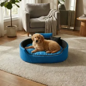 Bolster Orthopedic Dog Bed, dog bed, premium dog bed, orthopedic dog bed, soft dog bed, pet bed for dogs, comfortable dog bed, washable dog bed, dog bed with cushion, premium orthopedic dog bed for large dogs, soft and comfortable dog bed with cushion, durable dog bed with PU foam support, luxury pet bed for small and medium dogs, breathable dog bed for summer and winter, stylish modern dog bed for home, lightweight dog bed easy to carry, dog bed with bone shape pillow, buy dog bed online India, best dog bed for home use, affordable premium dog bed, high quality pet bed India, dog bed under budget, cozy dog bed, luxury pet comfort bed, soft plush dog bed, designer dog bed, pet sleeping bed, dog sofa bed, dog lounger bed, pet sofa bed, round dog bed, donut dog bed, calming dog bed, anti anxiety dog bed, raised edge dog bed, bolster dog bed, dog bed with side support, dog bed with high walls, puppy bed, small dog bed, medium dog bed, large dog bed, extra large dog bed, indoor dog bed, home pet bed, dog sleeping cushion, thick padded dog bed, fluffy dog bed, soft foam dog bed, PU foam dog bed, fiber filled dog bed, eco friendly dog bed, skin friendly dog bed, hypoallergenic dog bed, non toxic pet bed, durable pet bedding, long lasting dog bed, tear resistant dog bed, chew resistant dog bed, easy to clean dog bed, machine washable pet bed, removable cover dog bed, portable dog bed, travel dog bed, foldable dog bed, lightweight pet bed, luxury dog sofa, premium pet mattress, designer pet furniture, modern pet bed, aesthetic dog bed, comfortable pet mattress, pet relaxation bed, cozy pet nest, warm dog bed for winter, cool breathable dog bed for summer, all season dog bed, anti slip base dog bed, waterproof dog bed, indoor luxury pet bed, dog bed for crate, dog bed for living room, pet accessories dog bed, best selling dog bed, trending pet products, affordable pet bedding India, online pet supplies India