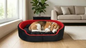 Bolster Orthopedic Dog Bed, dog bed, premium dog bed, orthopedic dog bed, soft dog bed, pet bed for dogs, comfortable dog bed, washable dog bed, dog bed with cushion, premium orthopedic dog bed for large dogs, soft and comfortable dog bed with cushion, durable dog bed with PU foam support, luxury pet bed for small and medium dogs, breathable dog bed for summer and winter, stylish modern dog bed for home, lightweight dog bed easy to carry, dog bed with bone shape pillow, buy dog bed online India, best dog bed for home use, affordable premium dog bed, high quality pet bed India, dog bed under budget, cozy dog bed, luxury pet comfort bed, soft plush dog bed, designer dog bed, pet sleeping bed, dog sofa bed, dog lounger bed, pet sofa bed, round dog bed, donut dog bed, calming dog bed, anti anxiety dog bed, raised edge dog bed, bolster dog bed, dog bed with side support, dog bed with high walls, puppy bed, small dog bed, medium dog bed, large dog bed, extra large dog bed, indoor dog bed, home pet bed, dog sleeping cushion, thick padded dog bed, fluffy dog bed, soft foam dog bed, PU foam dog bed, fiber filled dog bed, eco friendly dog bed, skin friendly dog bed, hypoallergenic dog bed, non toxic pet bed, durable pet bedding, long lasting dog bed, tear resistant dog bed, chew resistant dog bed, easy to clean dog bed, machine washable pet bed, removable cover dog bed, portable dog bed, travel dog bed, foldable dog bed, lightweight pet bed, luxury dog sofa, premium pet mattress, designer pet furniture, modern pet bed, aesthetic dog bed, comfortable pet mattress, pet relaxation bed, cozy pet nest, warm dog bed for winter, cool breathable dog bed for summer, all season dog bed, anti slip base dog bed, waterproof dog bed, indoor luxury pet bed, dog bed for crate, dog bed for living room, pet accessories dog bed, best selling dog bed, trending pet products, affordable pet bedding India, online pet supplies India