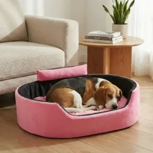 Bolster Orthopedic Dog Bed, dog bed, premium dog bed, orthopedic dog bed, soft dog bed, pet bed for dogs, comfortable dog bed, washable dog bed, dog bed with cushion, premium orthopedic dog bed for large dogs, soft and comfortable dog bed with cushion, durable dog bed with PU foam support, luxury pet bed for small and medium dogs, breathable dog bed for summer and winter, stylish modern dog bed for home, lightweight dog bed easy to carry, dog bed with bone shape pillow, buy dog bed online India, best dog bed for home use, affordable premium dog bed, high quality pet bed India, dog bed under budget, cozy dog bed, luxury pet comfort bed, soft plush dog bed, designer dog bed, pet sleeping bed, dog sofa bed, dog lounger bed, pet sofa bed, round dog bed, donut dog bed, calming dog bed, anti anxiety dog bed, raised edge dog bed, bolster dog bed, dog bed with side support, dog bed with high walls, puppy bed, small dog bed, medium dog bed, large dog bed, extra large dog bed, indoor dog bed, home pet bed, dog sleeping cushion, thick padded dog bed, fluffy dog bed, soft foam dog bed, PU foam dog bed, fiber filled dog bed, eco friendly dog bed, skin friendly dog bed, hypoallergenic dog bed, non toxic pet bed, durable pet bedding, long lasting dog bed, tear resistant dog bed, chew resistant dog bed, easy to clean dog bed, machine washable pet bed, removable cover dog bed, portable dog bed, travel dog bed, foldable dog bed, lightweight pet bed, luxury dog sofa, premium pet mattress, designer pet furniture, modern pet bed, aesthetic dog bed, comfortable pet mattress, pet relaxation bed, cozy pet nest, warm dog bed for winter, cool breathable dog bed for summer, all season dog bed, anti slip base dog bed, waterproof dog bed, indoor luxury pet bed, dog bed for crate, dog bed for living room, pet accessories dog bed, best selling dog bed, trending pet products, affordable pet bedding India, online pet supplies India