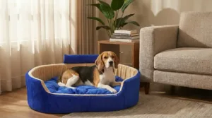Bolster Orthopedic Dog Bed, dog bed, premium dog bed, orthopedic dog bed, soft dog bed, pet bed for dogs, comfortable dog bed, washable dog bed, dog bed with cushion, premium orthopedic dog bed for large dogs, soft and comfortable dog bed with cushion, durable dog bed with PU foam support, luxury pet bed for small and medium dogs, breathable dog bed for summer and winter, stylish modern dog bed for home, lightweight dog bed easy to carry, dog bed with bone shape pillow, buy dog bed online India, best dog bed for home use, affordable premium dog bed, high quality pet bed India, dog bed under budget, cozy dog bed, luxury pet comfort bed, soft plush dog bed, designer dog bed, pet sleeping bed, dog sofa bed, dog lounger bed, pet sofa bed, round dog bed, donut dog bed, calming dog bed, anti anxiety dog bed, raised edge dog bed, bolster dog bed, dog bed with side support, dog bed with high walls, puppy bed, small dog bed, medium dog bed, large dog bed, extra large dog bed, indoor dog bed, home pet bed, dog sleeping cushion, thick padded dog bed, fluffy dog bed, soft foam dog bed, PU foam dog bed, fiber filled dog bed, eco friendly dog bed, skin friendly dog bed, hypoallergenic dog bed, non toxic pet bed, durable pet bedding, long lasting dog bed, tear resistant dog bed, chew resistant dog bed, easy to clean dog bed, machine washable pet bed, removable cover dog bed, portable dog bed, travel dog bed, foldable dog bed, lightweight pet bed, luxury dog sofa, premium pet mattress, designer pet furniture, modern pet bed, aesthetic dog bed, comfortable pet mattress, pet relaxation bed, cozy pet nest, warm dog bed for winter, cool breathable dog bed for summer, all season dog bed, anti slip base dog bed, waterproof dog bed, indoor luxury pet bed, dog bed for crate, dog bed for living room, pet accessories dog bed, best selling dog bed, trending pet products, affordable pet bedding India, online pet supplies India