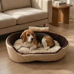 Bolster Orthopedic Dog Bed, dog bed, premium dog bed, orthopedic dog bed, soft dog bed, pet bed for dogs, comfortable dog bed, washable dog bed, dog bed with cushion, premium orthopedic dog bed for large dogs, soft and comfortable dog bed with cushion, durable dog bed with PU foam support, luxury pet bed for small and medium dogs, breathable dog bed for summer and winter, stylish modern dog bed for home, lightweight dog bed easy to carry, dog bed with bone shape pillow, buy dog bed online India, best dog bed for home use, affordable premium dog bed, high quality pet bed India, dog bed under budget, cozy dog bed, luxury pet comfort bed, soft plush dog bed, designer dog bed, pet sleeping bed, dog sofa bed, dog lounger bed, pet sofa bed, round dog bed, donut dog bed, calming dog bed, anti anxiety dog bed, raised edge dog bed, bolster dog bed, dog bed with side support, dog bed with high walls, puppy bed, small dog bed, medium dog bed, large dog bed, extra large dog bed, indoor dog bed, home pet bed, dog sleeping cushion, thick padded dog bed, fluffy dog bed, soft foam dog bed, PU foam dog bed, fiber filled dog bed, eco friendly dog bed, skin friendly dog bed, hypoallergenic dog bed, non toxic pet bed, durable pet bedding, long lasting dog bed, tear resistant dog bed, chew resistant dog bed, easy to clean dog bed, machine washable pet bed, removable cover dog bed, portable dog bed, travel dog bed, foldable dog bed, lightweight pet bed, luxury dog sofa, premium pet mattress, designer pet furniture, modern pet bed, aesthetic dog bed, comfortable pet mattress, pet relaxation bed, cozy pet nest, warm dog bed for winter, cool breathable dog bed for summer, all season dog bed, anti slip base dog bed, waterproof dog bed, indoor luxury pet bed, dog bed for crate, dog bed for living room, pet accessories dog bed, best selling dog bed, trending pet products, affordable pet bedding India, online pet supplies India