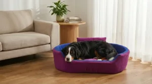 Bolster Orthopedic Dog Bed, dog bed, premium dog bed, orthopedic dog bed, soft dog bed, pet bed for dogs, comfortable dog bed, washable dog bed, dog bed with cushion, premium orthopedic dog bed for large dogs, soft and comfortable dog bed with cushion, durable dog bed with PU foam support, luxury pet bed for small and medium dogs, breathable dog bed for summer and winter, stylish modern dog bed for home, lightweight dog bed easy to carry, dog bed with bone shape pillow, buy dog bed online India, best dog bed for home use, affordable premium dog bed, high quality pet bed India, dog bed under budget, cozy dog bed, luxury pet comfort bed, soft plush dog bed, designer dog bed, pet sleeping bed, dog sofa bed, dog lounger bed, pet sofa bed, round dog bed, donut dog bed, calming dog bed, anti anxiety dog bed, raised edge dog bed, bolster dog bed, dog bed with side support, dog bed with high walls, puppy bed, small dog bed, medium dog bed, large dog bed, extra large dog bed, indoor dog bed, home pet bed, dog sleeping cushion, thick padded dog bed, fluffy dog bed, soft foam dog bed, PU foam dog bed, fiber filled dog bed, eco friendly dog bed, skin friendly dog bed, hypoallergenic dog bed, non toxic pet bed, durable pet bedding, long lasting dog bed, tear resistant dog bed, chew resistant dog bed, easy to clean dog bed, machine washable pet bed, removable cover dog bed, portable dog bed, travel dog bed, foldable dog bed, lightweight pet bed, luxury dog sofa, premium pet mattress, designer pet furniture, modern pet bed, aesthetic dog bed, comfortable pet mattress, pet relaxation bed, cozy pet nest, warm dog bed for winter, cool breathable dog bed for summer, all season dog bed, anti slip base dog bed, waterproof dog bed, indoor luxury pet bed, dog bed for crate, dog bed for living room, pet accessories dog bed, best selling dog bed, trending pet products, affordable pet bedding India, online pet supplies India