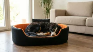 Bolster Orthopedic Dog Bed, dog bed, premium dog bed, orthopedic dog bed, soft dog bed, pet bed for dogs, comfortable dog bed, washable dog bed, dog bed with cushion, premium orthopedic dog bed for large dogs, soft and comfortable dog bed with cushion, durable dog bed with PU foam support, luxury pet bed for small and medium dogs, breathable dog bed for summer and winter, stylish modern dog bed for home, lightweight dog bed easy to carry, dog bed with bone shape pillow, buy dog bed online India, best dog bed for home use, affordable premium dog bed, high quality pet bed India, dog bed under budget, cozy dog bed, luxury pet comfort bed, soft plush dog bed, designer dog bed, pet sleeping bed, dog sofa bed, dog lounger bed, pet sofa bed, round dog bed, donut dog bed, calming dog bed, anti anxiety dog bed, raised edge dog bed, bolster dog bed, dog bed with side support, dog bed with high walls, puppy bed, small dog bed, medium dog bed, large dog bed, extra large dog bed, indoor dog bed, home pet bed, dog sleeping cushion, thick padded dog bed, fluffy dog bed, soft foam dog bed, PU foam dog bed, fiber filled dog bed, eco friendly dog bed, skin friendly dog bed, hypoallergenic dog bed, non toxic pet bed, durable pet bedding, long lasting dog bed, tear resistant dog bed, chew resistant dog bed, easy to clean dog bed, machine washable pet bed, removable cover dog bed, portable dog bed, travel dog bed, foldable dog bed, lightweight pet bed, luxury dog sofa, premium pet mattress, designer pet furniture, modern pet bed, aesthetic dog bed, comfortable pet mattress, pet relaxation bed, cozy pet nest, warm dog bed for winter, cool breathable dog bed for summer, all season dog bed, anti slip base dog bed, waterproof dog bed, indoor luxury pet bed, dog bed for crate, dog bed for living room, pet accessories dog bed, best selling dog bed, trending pet products, affordable pet bedding India, online pet supplies India