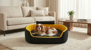 Bolster Orthopedic Dog Bed, dog bed, premium dog bed, orthopedic dog bed, soft dog bed, pet bed for dogs, comfortable dog bed, washable dog bed, dog bed with cushion, premium orthopedic dog bed for large dogs, soft and comfortable dog bed with cushion, durable dog bed with PU foam support, luxury pet bed for small and medium dogs, breathable dog bed for summer and winter, stylish modern dog bed for home, lightweight dog bed easy to carry, dog bed with bone shape pillow, buy dog bed online India, best dog bed for home use, affordable premium dog bed, high quality pet bed India, dog bed under budget, cozy dog bed, luxury pet comfort bed, soft plush dog bed, designer dog bed, pet sleeping bed, dog sofa bed, dog lounger bed, pet sofa bed, round dog bed, donut dog bed, calming dog bed, anti anxiety dog bed, raised edge dog bed, bolster dog bed, dog bed with side support, dog bed with high walls, puppy bed, small dog bed, medium dog bed, large dog bed, extra large dog bed, indoor dog bed, home pet bed, dog sleeping cushion, thick padded dog bed, fluffy dog bed, soft foam dog bed, PU foam dog bed, fiber filled dog bed, eco friendly dog bed, skin friendly dog bed, hypoallergenic dog bed, non toxic pet bed, durable pet bedding, long lasting dog bed, tear resistant dog bed, chew resistant dog bed, easy to clean dog bed, machine washable pet bed, removable cover dog bed, portable dog bed, travel dog bed, foldable dog bed, lightweight pet bed, luxury dog sofa, premium pet mattress, designer pet furniture, modern pet bed, aesthetic dog bed, comfortable pet mattress, pet relaxation bed, cozy pet nest, warm dog bed for winter, cool breathable dog bed for summer, all season dog bed, anti slip base dog bed, waterproof dog bed, indoor luxury pet bed, dog bed for crate, dog bed for living room, pet accessories dog bed, best selling dog bed, trending pet products, affordable pet bedding India, online pet supplies India
