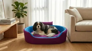 Bolster Orthopedic Dog Bed, dog bed, premium dog bed, orthopedic dog bed, soft dog bed, pet bed for dogs, comfortable dog bed, washable dog bed, dog bed with cushion, premium orthopedic dog bed for large dogs, soft and comfortable dog bed with cushion, durable dog bed with PU foam support, luxury pet bed for small and medium dogs, breathable dog bed for summer and winter, stylish modern dog bed for home, lightweight dog bed easy to carry, dog bed with bone shape pillow, buy dog bed online India, best dog bed for home use, affordable premium dog bed, high quality pet bed India, dog bed under budget, cozy dog bed, luxury pet comfort bed, soft plush dog bed, designer dog bed, pet sleeping bed, dog sofa bed, dog lounger bed, pet sofa bed, round dog bed, donut dog bed, calming dog bed, anti anxiety dog bed, raised edge dog bed, bolster dog bed, dog bed with side support, dog bed with high walls, puppy bed, small dog bed, medium dog bed, large dog bed, extra large dog bed, indoor dog bed, home pet bed, dog sleeping cushion, thick padded dog bed, fluffy dog bed, soft foam dog bed, PU foam dog bed, fiber filled dog bed, eco friendly dog bed, skin friendly dog bed, hypoallergenic dog bed, non toxic pet bed, durable pet bedding, long lasting dog bed, tear resistant dog bed, chew resistant dog bed, easy to clean dog bed, machine washable pet bed, removable cover dog bed, portable dog bed, travel dog bed, foldable dog bed, lightweight pet bed, luxury dog sofa, premium pet mattress, designer pet furniture, modern pet bed, aesthetic dog bed, comfortable pet mattress, pet relaxation bed, cozy pet nest, warm dog bed for winter, cool breathable dog bed for summer, all season dog bed, anti slip base dog bed, waterproof dog bed, indoor luxury pet bed, dog bed for crate, dog bed for living room, pet accessories dog bed, best selling dog bed, trending pet products, affordable pet bedding India, online pet supplies India