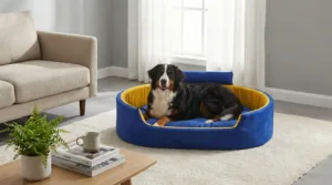Bolster Orthopedic Dog Bed, dog bed, premium dog bed, orthopedic dog bed, soft dog bed, pet bed for dogs, comfortable dog bed, washable dog bed, dog bed with cushion, premium orthopedic dog bed for large dogs, soft and comfortable dog bed with cushion, durable dog bed with PU foam support, luxury pet bed for small and medium dogs, breathable dog bed for summer and winter, stylish modern dog bed for home, lightweight dog bed easy to carry, dog bed with bone shape pillow, buy dog bed online India, best dog bed for home use, affordable premium dog bed, high quality pet bed India, dog bed under budget, cozy dog bed, luxury pet comfort bed, soft plush dog bed, designer dog bed, pet sleeping bed, dog sofa bed, dog lounger bed, pet sofa bed, round dog bed, donut dog bed, calming dog bed, anti anxiety dog bed, raised edge dog bed, bolster dog bed, dog bed with side support, dog bed with high walls, puppy bed, small dog bed, medium dog bed, large dog bed, extra large dog bed, indoor dog bed, home pet bed, dog sleeping cushion, thick padded dog bed, fluffy dog bed, soft foam dog bed, PU foam dog bed, fiber filled dog bed, eco friendly dog bed, skin friendly dog bed, hypoallergenic dog bed, non toxic pet bed, durable pet bedding, long lasting dog bed, tear resistant dog bed, chew resistant dog bed, easy to clean dog bed, machine washable pet bed, removable cover dog bed, portable dog bed, travel dog bed, foldable dog bed, lightweight pet bed, luxury dog sofa, premium pet mattress, designer pet furniture, modern pet bed, aesthetic dog bed, comfortable pet mattress, pet relaxation bed, cozy pet nest, warm dog bed for winter, cool breathable dog bed for summer, all season dog bed, anti slip base dog bed, waterproof dog bed, indoor luxury pet bed, dog bed for crate, dog bed for living room, pet accessories dog bed, best selling dog bed, trending pet products, affordable pet bedding India, online pet supplies India
