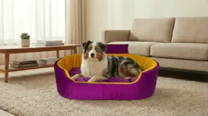 Bolster Orthopedic Dog Bed, dog bed, premium dog bed, orthopedic dog bed, soft dog bed, pet bed for dogs, comfortable dog bed, washable dog bed, dog bed with cushion, premium orthopedic dog bed for large dogs, soft and comfortable dog bed with cushion, durable dog bed with PU foam support, luxury pet bed for small and medium dogs, breathable dog bed for summer and winter, stylish modern dog bed for home, lightweight dog bed easy to carry, dog bed with bone shape pillow, buy dog bed online India, best dog bed for home use, affordable premium dog bed, high quality pet bed India, dog bed under budget, cozy dog bed, luxury pet comfort bed, soft plush dog bed, designer dog bed, pet sleeping bed, dog sofa bed, dog lounger bed, pet sofa bed, round dog bed, donut dog bed, calming dog bed, anti anxiety dog bed, raised edge dog bed, bolster dog bed, dog bed with side support, dog bed with high walls, puppy bed, small dog bed, medium dog bed, large dog bed, extra large dog bed, indoor dog bed, home pet bed, dog sleeping cushion, thick padded dog bed, fluffy dog bed, soft foam dog bed, PU foam dog bed, fiber filled dog bed, eco friendly dog bed, skin friendly dog bed, hypoallergenic dog bed, non toxic pet bed, durable pet bedding, long lasting dog bed, tear resistant dog bed, chew resistant dog bed, easy to clean dog bed, machine washable pet bed, removable cover dog bed, portable dog bed, travel dog bed, foldable dog bed, lightweight pet bed, luxury dog sofa, premium pet mattress, designer pet furniture, modern pet bed, aesthetic dog bed, comfortable pet mattress, pet relaxation bed, cozy pet nest, warm dog bed for winter, cool breathable dog bed for summer, all season dog bed, anti slip base dog bed, waterproof dog bed, indoor luxury pet bed, dog bed for crate, dog bed for living room, pet accessories dog bed, best selling dog bed, trending pet products, affordable pet bedding India, online pet supplies India