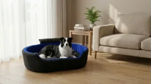 Bolster Orthopedic Dog Bed, dog bed, premium dog bed, orthopedic dog bed, soft dog bed, pet bed for dogs, comfortable dog bed, washable dog bed, dog bed with cushion, premium orthopedic dog bed for large dogs, soft and comfortable dog bed with cushion, durable dog bed with PU foam support, luxury pet bed for small and medium dogs, breathable dog bed for summer and winter, stylish modern dog bed for home, lightweight dog bed easy to carry, dog bed with bone shape pillow, buy dog bed online India, best dog bed for home use, affordable premium dog bed, high quality pet bed India, dog bed under budget, cozy dog bed, luxury pet comfort bed, soft plush dog bed, designer dog bed, pet sleeping bed, dog sofa bed, dog lounger bed, pet sofa bed, round dog bed, donut dog bed, calming dog bed, anti anxiety dog bed, raised edge dog bed, bolster dog bed, dog bed with side support, dog bed with high walls, puppy bed, small dog bed, medium dog bed, large dog bed, extra large dog bed, indoor dog bed, home pet bed, dog sleeping cushion, thick padded dog bed, fluffy dog bed, soft foam dog bed, PU foam dog bed, fiber filled dog bed, eco friendly dog bed, skin friendly dog bed, hypoallergenic dog bed, non toxic pet bed, durable pet bedding, long lasting dog bed, tear resistant dog bed, chew resistant dog bed, easy to clean dog bed, machine washable pet bed, removable cover dog bed, portable dog bed, travel dog bed, foldable dog bed, lightweight pet bed, luxury dog sofa, premium pet mattress, designer pet furniture, modern pet bed, aesthetic dog bed, comfortable pet mattress, pet relaxation bed, cozy pet nest, warm dog bed for winter, cool breathable dog bed for summer, all season dog bed, anti slip base dog bed, waterproof dog bed, indoor luxury pet bed, dog bed for crate, dog bed for living room, pet accessories dog bed, best selling dog bed, trending pet products, affordable pet bedding India, online pet supplies India