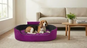 Bolster Orthopedic Dog Bed, dog bed, premium dog bed, orthopedic dog bed, soft dog bed, pet bed for dogs, comfortable dog bed, washable dog bed, dog bed with cushion, premium orthopedic dog bed for large dogs, soft and comfortable dog bed with cushion, durable dog bed with PU foam support, luxury pet bed for small and medium dogs, breathable dog bed for summer and winter, stylish modern dog bed for home, lightweight dog bed easy to carry, dog bed with bone shape pillow, buy dog bed online India, best dog bed for home use, affordable premium dog bed, high quality pet bed India, dog bed under budget, cozy dog bed, luxury pet comfort bed, soft plush dog bed, designer dog bed, pet sleeping bed, dog sofa bed, dog lounger bed, pet sofa bed, round dog bed, donut dog bed, calming dog bed, anti anxiety dog bed, raised edge dog bed, bolster dog bed, dog bed with side support, dog bed with high walls, puppy bed, small dog bed, medium dog bed, large dog bed, extra large dog bed, indoor dog bed, home pet bed, dog sleeping cushion, thick padded dog bed, fluffy dog bed, soft foam dog bed, PU foam dog bed, fiber filled dog bed, eco friendly dog bed, skin friendly dog bed, hypoallergenic dog bed, non toxic pet bed, durable pet bedding, long lasting dog bed, tear resistant dog bed, chew resistant dog bed, easy to clean dog bed, machine washable pet bed, removable cover dog bed, portable dog bed, travel dog bed, foldable dog bed, lightweight pet bed, luxury dog sofa, premium pet mattress, designer pet furniture, modern pet bed, aesthetic dog bed, comfortable pet mattress, pet relaxation bed, cozy pet nest, warm dog bed for winter, cool breathable dog bed for summer, all season dog bed, anti slip base dog bed, waterproof dog bed, indoor luxury pet bed, dog bed for crate, dog bed for living room, pet accessories dog bed, best selling dog bed, trending pet products, affordable pet bedding India, online pet supplies India