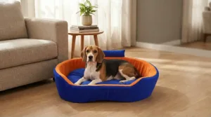 Bolster Orthopedic Dog Bed, dog bed, premium dog bed, orthopedic dog bed, soft dog bed, pet bed for dogs, comfortable dog bed, washable dog bed, dog bed with cushion, premium orthopedic dog bed for large dogs, soft and comfortable dog bed with cushion, durable dog bed with PU foam support, luxury pet bed for small and medium dogs, breathable dog bed for summer and winter, stylish modern dog bed for home, lightweight dog bed easy to carry, dog bed with bone shape pillow, buy dog bed online India, best dog bed for home use, affordable premium dog bed, high quality pet bed India, dog bed under budget, cozy dog bed, luxury pet comfort bed, soft plush dog bed, designer dog bed, pet sleeping bed, dog sofa bed, dog lounger bed, pet sofa bed, round dog bed, donut dog bed, calming dog bed, anti anxiety dog bed, raised edge dog bed, bolster dog bed, dog bed with side support, dog bed with high walls, puppy bed, small dog bed, medium dog bed, large dog bed, extra large dog bed, indoor dog bed, home pet bed, dog sleeping cushion, thick padded dog bed, fluffy dog bed, soft foam dog bed, PU foam dog bed, fiber filled dog bed, eco friendly dog bed, skin friendly dog bed, hypoallergenic dog bed, non toxic pet bed, durable pet bedding, long lasting dog bed, tear resistant dog bed, chew resistant dog bed, easy to clean dog bed, machine washable pet bed, removable cover dog bed, portable dog bed, travel dog bed, foldable dog bed, lightweight pet bed, luxury dog sofa, premium pet mattress, designer pet furniture, modern pet bed, aesthetic dog bed, comfortable pet mattress, pet relaxation bed, cozy pet nest, warm dog bed for winter, cool breathable dog bed for summer, all season dog bed, anti slip base dog bed, waterproof dog bed, indoor luxury pet bed, dog bed for crate, dog bed for living room, pet accessories dog bed, best selling dog bed, trending pet products, affordable pet bedding India, online pet supplies India