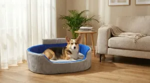 Bolster Orthopedic Dog Bed, dog bed, premium dog bed, orthopedic dog bed, soft dog bed, pet bed for dogs, comfortable dog bed, washable dog bed, dog bed with cushion, premium orthopedic dog bed for large dogs, soft and comfortable dog bed with cushion, durable dog bed with PU foam support, luxury pet bed for small and medium dogs, breathable dog bed for summer and winter, stylish modern dog bed for home, lightweight dog bed easy to carry, dog bed with bone shape pillow, buy dog bed online India, best dog bed for home use, affordable premium dog bed, high quality pet bed India, dog bed under budget, cozy dog bed, luxury pet comfort bed, soft plush dog bed, designer dog bed, pet sleeping bed, dog sofa bed, dog lounger bed, pet sofa bed, round dog bed, donut dog bed, calming dog bed, anti anxiety dog bed, raised edge dog bed, bolster dog bed, dog bed with side support, dog bed with high walls, puppy bed, small dog bed, medium dog bed, large dog bed, extra large dog bed, indoor dog bed, home pet bed, dog sleeping cushion, thick padded dog bed, fluffy dog bed, soft foam dog bed, PU foam dog bed, fiber filled dog bed, eco friendly dog bed, skin friendly dog bed, hypoallergenic dog bed, non toxic pet bed, durable pet bedding, long lasting dog bed, tear resistant dog bed, chew resistant dog bed, easy to clean dog bed, machine washable pet bed, removable cover dog bed, portable dog bed, travel dog bed, foldable dog bed, lightweight pet bed, luxury dog sofa, premium pet mattress, designer pet furniture, modern pet bed, aesthetic dog bed, comfortable pet mattress, pet relaxation bed, cozy pet nest, warm dog bed for winter, cool breathable dog bed for summer, all season dog bed, anti slip base dog bed, waterproof dog bed, indoor luxury pet bed, dog bed for crate, dog bed for living room, pet accessories dog bed, best selling dog bed, trending pet products, affordable pet bedding India, online pet supplies India