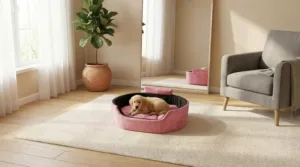 Bolster Orthopedic Dog Bed, dog bed, premium dog bed, orthopedic dog bed, soft dog bed, pet bed for dogs, comfortable dog bed, washable dog bed, dog bed with cushion, premium orthopedic dog bed for large dogs, soft and comfortable dog bed with cushion, durable dog bed with PU foam support, luxury pet bed for small and medium dogs, breathable dog bed for summer and winter, stylish modern dog bed for home, lightweight dog bed easy to carry, dog bed with bone shape pillow, buy dog bed online India, best dog bed for home use, affordable premium dog bed, high quality pet bed India, dog bed under budget, cozy dog bed, luxury pet comfort bed, soft plush dog bed, designer dog bed, pet sleeping bed, dog sofa bed, dog lounger bed, pet sofa bed, round dog bed, donut dog bed, calming dog bed, anti anxiety dog bed, raised edge dog bed, bolster dog bed, dog bed with side support, dog bed with high walls, puppy bed, small dog bed, medium dog bed, large dog bed, extra large dog bed, indoor dog bed, home pet bed, dog sleeping cushion, thick padded dog bed, fluffy dog bed, soft foam dog bed, PU foam dog bed, fiber filled dog bed, eco friendly dog bed, skin friendly dog bed, hypoallergenic dog bed, non toxic pet bed, durable pet bedding, long lasting dog bed, tear resistant dog bed, chew resistant dog bed, easy to clean dog bed, machine washable pet bed, removable cover dog bed, portable dog bed, travel dog bed, foldable dog bed, lightweight pet bed, luxury dog sofa, premium pet mattress, designer pet furniture, modern pet bed, aesthetic dog bed, comfortable pet mattress, pet relaxation bed, cozy pet nest, warm dog bed for winter, cool breathable dog bed for summer, all season dog bed, anti slip base dog bed, waterproof dog bed, indoor luxury pet bed, dog bed for crate, dog bed for living room, pet accessories dog bed, best selling dog bed, trending pet products, affordable pet bedding India, online pet supplies India