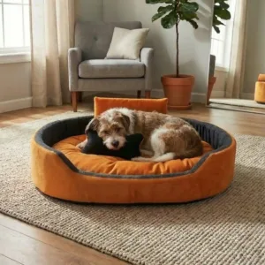 Bolster Orthopedic Dog Bed, dog bed, premium dog bed, orthopedic dog bed, soft dog bed, pet bed for dogs, comfortable dog bed, washable dog bed, dog bed with cushion, premium orthopedic dog bed for large dogs, soft and comfortable dog bed with cushion, durable dog bed with PU foam support, luxury pet bed for small and medium dogs, breathable dog bed for summer and winter, stylish modern dog bed for home, lightweight dog bed easy to carry, dog bed with bone shape pillow, buy dog bed online India, best dog bed for home use, affordable premium dog bed, high quality pet bed India, dog bed under budget, cozy dog bed, luxury pet comfort bed, soft plush dog bed, designer dog bed, pet sleeping bed, dog sofa bed, dog lounger bed, pet sofa bed, round dog bed, donut dog bed, calming dog bed, anti anxiety dog bed, raised edge dog bed, bolster dog bed, dog bed with side support, dog bed with high walls, puppy bed, small dog bed, medium dog bed, large dog bed, extra large dog bed, indoor dog bed, home pet bed, dog sleeping cushion, thick padded dog bed, fluffy dog bed, soft foam dog bed, PU foam dog bed, fiber filled dog bed, eco friendly dog bed, skin friendly dog bed, hypoallergenic dog bed, non toxic pet bed, durable pet bedding, long lasting dog bed, tear resistant dog bed, chew resistant dog bed, easy to clean dog bed, machine washable pet bed, removable cover dog bed, portable dog bed, travel dog bed, foldable dog bed, lightweight pet bed, luxury dog sofa, premium pet mattress, designer pet furniture, modern pet bed, aesthetic dog bed, comfortable pet mattress, pet relaxation bed, cozy pet nest, warm dog bed for winter, cool breathable dog bed for summer, all season dog bed, anti slip base dog bed, waterproof dog bed, indoor luxury pet bed, dog bed for crate, dog bed for living room, pet accessories dog bed, best selling dog bed, trending pet products, affordable pet bedding India, online pet supplies India