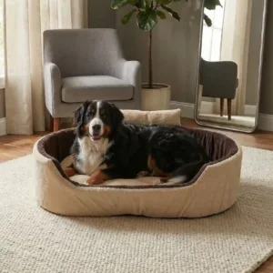 Bolster Orthopedic Dog Bed, dog bed, premium dog bed, orthopedic dog bed, soft dog bed, pet bed for dogs, comfortable dog bed, washable dog bed, dog bed with cushion, premium orthopedic dog bed for large dogs, soft and comfortable dog bed with cushion, durable dog bed with PU foam support, luxury pet bed for small and medium dogs, breathable dog bed for summer and winter, stylish modern dog bed for home, lightweight dog bed easy to carry, dog bed with bone shape pillow, buy dog bed online India, best dog bed for home use, affordable premium dog bed, high quality pet bed India, dog bed under budget, cozy dog bed, luxury pet comfort bed, soft plush dog bed, designer dog bed, pet sleeping bed, dog sofa bed, dog lounger bed, pet sofa bed, round dog bed, donut dog bed, calming dog bed, anti anxiety dog bed, raised edge dog bed, bolster dog bed, dog bed with side support, dog bed with high walls, puppy bed, small dog bed, medium dog bed, large dog bed, extra large dog bed, indoor dog bed, home pet bed, dog sleeping cushion, thick padded dog bed, fluffy dog bed, soft foam dog bed, PU foam dog bed, fiber filled dog bed, eco friendly dog bed, skin friendly dog bed, hypoallergenic dog bed, non toxic pet bed, durable pet bedding, long lasting dog bed, tear resistant dog bed, chew resistant dog bed, easy to clean dog bed, machine washable pet bed, removable cover dog bed, portable dog bed, travel dog bed, foldable dog bed, lightweight pet bed, luxury dog sofa, premium pet mattress, designer pet furniture, modern pet bed, aesthetic dog bed, comfortable pet mattress, pet relaxation bed, cozy pet nest, warm dog bed for winter, cool breathable dog bed for summer, all season dog bed, anti slip base dog bed, waterproof dog bed, indoor luxury pet bed, dog bed for crate, dog bed for living room, pet accessories dog bed, best selling dog bed, trending pet products, affordable pet bedding India, online pet supplies India