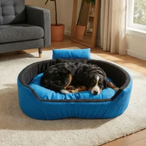Bolster Orthopedic Dog Bed, dog bed, premium dog bed, orthopedic dog bed, soft dog bed, pet bed for dogs, comfortable dog bed, washable dog bed, dog bed with cushion, premium orthopedic dog bed for large dogs, soft and comfortable dog bed with cushion, durable dog bed with PU foam support, luxury pet bed for small and medium dogs, breathable dog bed for summer and winter, stylish modern dog bed for home, lightweight dog bed easy to carry, dog bed with bone shape pillow, buy dog bed online India, best dog bed for home use, affordable premium dog bed, high quality pet bed India, dog bed under budget, cozy dog bed, luxury pet comfort bed, soft plush dog bed, designer dog bed, pet sleeping bed, dog sofa bed, dog lounger bed, pet sofa bed, round dog bed, donut dog bed, calming dog bed, anti anxiety dog bed, raised edge dog bed, bolster dog bed, dog bed with side support, dog bed with high walls, puppy bed, small dog bed, medium dog bed, large dog bed, extra large dog bed, indoor dog bed, home pet bed, dog sleeping cushion, thick padded dog bed, fluffy dog bed, soft foam dog bed, PU foam dog bed, fiber filled dog bed, eco friendly dog bed, skin friendly dog bed, hypoallergenic dog bed, non toxic pet bed, durable pet bedding, long lasting dog bed, tear resistant dog bed, chew resistant dog bed, easy to clean dog bed, machine washable pet bed, removable cover dog bed, portable dog bed, travel dog bed, foldable dog bed, lightweight pet bed, luxury dog sofa, premium pet mattress, designer pet furniture, modern pet bed, aesthetic dog bed, comfortable pet mattress, pet relaxation bed, cozy pet nest, warm dog bed for winter, cool breathable dog bed for summer, all season dog bed, anti slip base dog bed, waterproof dog bed, indoor luxury pet bed, dog bed for crate, dog bed for living room, pet accessories dog bed, best selling dog bed, trending pet products, affordable pet bedding India, online pet supplies India