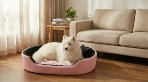 dog bed, premium dog bed, orthopedic dog bed, soft dog bed, pet bed for dogs, comfortable dog bed, washable dog bed, dog bed with cushion, premium orthopedic dog bed for large dogs, soft and comfortable dog bed with cushion, durable dog bed with PU foam support, luxury pet bed for small and medium dogs, breathable dog bed for summer and winter, stylish modern dog bed for home, lightweight dog bed easy to carry, dog bed with bone shape pillow, buy dog bed online India, best dog bed for home use, affordable premium dog bed, high quality pet bed India, dog bed under budget, cozy dog bed, luxury pet comfort bed, soft plush dog bed, designer dog bed, pet sleeping bed, dog sofa bed, dog lounger bed, pet sofa bed, round dog bed, donut dog bed, calming dog bed, anti anxiety dog bed, raised edge dog bed, bolster dog bed, dog bed with side support, dog bed with high walls, puppy bed, small dog bed, medium dog bed, large dog bed, extra large dog bed, indoor dog bed, home pet bed, dog sleeping cushion, thick padded dog bed, fluffy dog bed, soft foam dog bed, PU foam dog bed, fiber filled dog bed, eco friendly dog bed, skin friendly dog bed, hypoallergenic dog bed, non toxic pet bed, durable pet bedding, long lasting dog bed, tear resistant dog bed, chew resistant dog bed, easy to clean dog bed, machine washable pet bed, removable cover dog bed, portable dog bed, travel dog bed, foldable dog bed, lightweight pet bed, luxury dog sofa, premium pet mattress, designer pet furniture, modern pet bed, aesthetic dog bed, comfortable pet mattress, pet relaxation bed, cozy pet nest, warm dog bed for winter, cool breathable dog bed for summer, all season dog bed, anti slip base dog bed, waterproof dog bed, indoor luxury pet bed, dog bed for crate, dog bed for living room, pet accessories dog bed, best selling dog bed, trending pet products, affordable pet bedding India, online pet supplies India