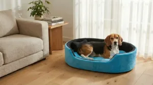 dog bed, premium dog bed, orthopedic dog bed, soft dog bed, pet bed for dogs, comfortable dog bed, washable dog bed, dog bed with cushion, premium orthopedic dog bed for large dogs, soft and comfortable dog bed with cushion, durable dog bed with PU foam support, luxury pet bed for small and medium dogs, breathable dog bed for summer and winter, stylish modern dog bed for home, lightweight dog bed easy to carry, dog bed with bone shape pillow, buy dog bed online India, best dog bed for home use, affordable premium dog bed, high quality pet bed India, dog bed under budget, cozy dog bed, luxury pet comfort bed, soft plush dog bed, designer dog bed, pet sleeping bed, dog sofa bed, dog lounger bed, pet sofa bed, round dog bed, donut dog bed, calming dog bed, anti anxiety dog bed, raised edge dog bed, bolster dog bed, dog bed with side support, dog bed with high walls, puppy bed, small dog bed, medium dog bed, large dog bed, extra large dog bed, indoor dog bed, home pet bed, dog sleeping cushion, thick padded dog bed, fluffy dog bed, soft foam dog bed, PU foam dog bed, fiber filled dog bed, eco friendly dog bed, skin friendly dog bed, hypoallergenic dog bed, non toxic pet bed, durable pet bedding, long lasting dog bed, tear resistant dog bed, chew resistant dog bed, easy to clean dog bed, machine washable pet bed, removable cover dog bed, portable dog bed, travel dog bed, foldable dog bed, lightweight pet bed, luxury dog sofa, premium pet mattress, designer pet furniture, modern pet bed, aesthetic dog bed, comfortable pet mattress, pet relaxation bed, cozy pet nest, warm dog bed for winter, cool breathable dog bed for summer, all season dog bed, anti slip base dog bed, waterproof dog bed, indoor luxury pet bed, dog bed for crate, dog bed for living room, pet accessories dog bed, best selling dog bed, trending pet products, affordable pet bedding India, online pet supplies India