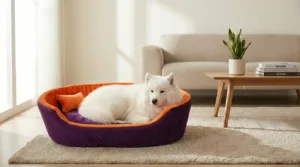 dog bed, premium dog bed, orthopedic dog bed, soft dog bed, pet bed for dogs, comfortable dog bed, washable dog bed, dog bed with cushion, premium orthopedic dog bed for large dogs, soft and comfortable dog bed with cushion, durable dog bed with PU foam support, luxury pet bed for small and medium dogs, breathable dog bed for summer and winter, stylish modern dog bed for home, lightweight dog bed easy to carry, dog bed with bone shape pillow, buy dog bed online India, best dog bed for home use, affordable premium dog bed, high quality pet bed India, dog bed under budget, cozy dog bed, luxury pet comfort bed, soft plush dog bed, designer dog bed, pet sleeping bed, dog sofa bed, dog lounger bed, pet sofa bed, round dog bed, donut dog bed, calming dog bed, anti anxiety dog bed, raised edge dog bed, bolster dog bed, dog bed with side support, dog bed with high walls, puppy bed, small dog bed, medium dog bed, large dog bed, extra large dog bed, indoor dog bed, home pet bed, dog sleeping cushion, thick padded dog bed, fluffy dog bed, soft foam dog bed, PU foam dog bed, fiber filled dog bed, eco friendly dog bed, skin friendly dog bed, hypoallergenic dog bed, non toxic pet bed, durable pet bedding, long lasting dog bed, tear resistant dog bed, chew resistant dog bed, easy to clean dog bed, machine washable pet bed, removable cover dog bed, portable dog bed, travel dog bed, foldable dog bed, lightweight pet bed, luxury dog sofa, premium pet mattress, designer pet furniture, modern pet bed, aesthetic dog bed, comfortable pet mattress, pet relaxation bed, cozy pet nest, warm dog bed for winter, cool breathable dog bed for summer, all season dog bed, anti slip base dog bed, waterproof dog bed, indoor luxury pet bed, dog bed for crate, dog bed for living room, pet accessories dog bed, best selling dog bed, trending pet products, affordable pet bedding India, online pet supplies India