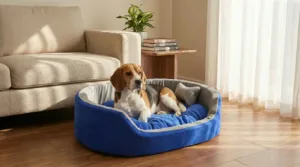 dog bed, premium dog bed, orthopedic dog bed, soft dog bed, pet bed for dogs, comfortable dog bed, washable dog bed, dog bed with cushion, premium orthopedic dog bed for large dogs, soft and comfortable dog bed with cushion, durable dog bed with PU foam support, luxury pet bed for small and medium dogs, breathable dog bed for summer and winter, stylish modern dog bed for home, lightweight dog bed easy to carry, dog bed with bone shape pillow, buy dog bed online India, best dog bed for home use, affordable premium dog bed, high quality pet bed India, dog bed under budget, cozy dog bed, luxury pet comfort bed, soft plush dog bed, designer dog bed, pet sleeping bed, dog sofa bed, dog lounger bed, pet sofa bed, round dog bed, donut dog bed, calming dog bed, anti anxiety dog bed, raised edge dog bed, bolster dog bed, dog bed with side support, dog bed with high walls, puppy bed, small dog bed, medium dog bed, large dog bed, extra large dog bed, indoor dog bed, home pet bed, dog sleeping cushion, thick padded dog bed, fluffy dog bed, soft foam dog bed, PU foam dog bed, fiber filled dog bed, eco friendly dog bed, skin friendly dog bed, hypoallergenic dog bed, non toxic pet bed, durable pet bedding, long lasting dog bed, tear resistant dog bed, chew resistant dog bed, easy to clean dog bed, machine washable pet bed, removable cover dog bed, portable dog bed, travel dog bed, foldable dog bed, lightweight pet bed, luxury dog sofa, premium pet mattress, designer pet furniture, modern pet bed, aesthetic dog bed, comfortable pet mattress, pet relaxation bed, cozy pet nest, warm dog bed for winter, cool breathable dog bed for summer, all season dog bed, anti slip base dog bed, waterproof dog bed, indoor luxury pet bed, dog bed for crate, dog bed for living room, pet accessories dog bed, best selling dog bed, trending pet products, affordable pet bedding India, online pet supplies India