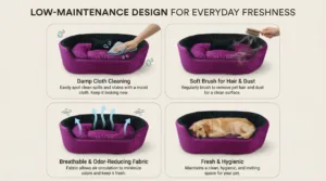 dog bed, premium dog bed, orthopedic dog bed, soft dog bed, pet bed for dogs, comfortable dog bed, washable dog bed, dog bed with cushion, premium orthopedic dog bed for large dogs, soft and comfortable dog bed with cushion, durable dog bed with PU foam support, luxury pet bed for small and medium dogs, breathable dog bed for summer and winter, stylish modern dog bed for home, lightweight dog bed easy to carry, dog bed with bone shape pillow, buy dog bed online India, best dog bed for home use, affordable premium dog bed, high quality pet bed India, dog bed under budget, cozy dog bed, luxury pet comfort bed, soft plush dog bed, designer dog bed, pet sleeping bed, dog sofa bed, dog lounger bed, pet sofa bed, round dog bed, donut dog bed, calming dog bed, anti anxiety dog bed, raised edge dog bed, bolster dog bed, dog bed with side support, dog bed with high walls, puppy bed, small dog bed, medium dog bed, large dog bed, extra large dog bed, indoor dog bed, home pet bed, dog sleeping cushion, thick padded dog bed, fluffy dog bed, soft foam dog bed, PU foam dog bed, fiber filled dog bed, eco friendly dog bed, skin friendly dog bed, hypoallergenic dog bed, non toxic pet bed, durable pet bedding, long lasting dog bed, tear resistant dog bed, chew resistant dog bed, easy to clean dog bed, machine washable pet bed, removable cover dog bed, portable dog bed, travel dog bed, foldable dog bed, lightweight pet bed, luxury dog sofa, premium pet mattress, designer pet furniture, modern pet bed, aesthetic dog bed, comfortable pet mattress, pet relaxation bed, cozy pet nest, warm dog bed for winter, cool breathable dog bed for summer, all season dog bed, anti slip base dog bed, waterproof dog bed, indoor luxury pet bed, dog bed for crate, dog bed for living room, pet accessories dog bed, best selling dog bed, trending pet products, affordable pet bedding India, online pet supplies India