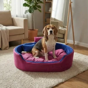 Bolster Orthopedic Dog Bed, dog bed, premium dog bed, orthopedic dog bed, soft dog bed, pet bed for dogs, comfortable dog bed, washable dog bed, dog bed with cushion, premium orthopedic dog bed for large dogs, soft and comfortable dog bed with cushion, durable dog bed with PU foam support, luxury pet bed for small and medium dogs, breathable dog bed for summer and winter, stylish modern dog bed for home, lightweight dog bed easy to carry, dog bed with bone shape pillow, buy dog bed online India, best dog bed for home use, affordable premium dog bed, high quality pet bed India, dog bed under budget, cozy dog bed, luxury pet comfort bed, soft plush dog bed, designer dog bed, pet sleeping bed, dog sofa bed, dog lounger bed, pet sofa bed, round dog bed, donut dog bed, calming dog bed, anti anxiety dog bed, raised edge dog bed, bolster dog bed, dog bed with side support, dog bed with high walls, puppy bed, small dog bed, medium dog bed, large dog bed, extra large dog bed, indoor dog bed, home pet bed, dog sleeping cushion, thick padded dog bed, fluffy dog bed, soft foam dog bed, PU foam dog bed, fiber filled dog bed, eco friendly dog bed, skin friendly dog bed, hypoallergenic dog bed, non toxic pet bed, durable pet bedding, long lasting dog bed, tear resistant dog bed, chew resistant dog bed, easy to clean dog bed, machine washable pet bed, removable cover dog bed, portable dog bed, travel dog bed, foldable dog bed, lightweight pet bed, luxury dog sofa, premium pet mattress, designer pet furniture, modern pet bed, aesthetic dog bed, comfortable pet mattress, pet relaxation bed, cozy pet nest, warm dog bed for winter, cool breathable dog bed for summer, all season dog bed, anti slip base dog bed, waterproof dog bed, indoor luxury pet bed, dog bed for crate, dog bed for living room, pet accessories dog bed, best selling dog bed, trending pet products, affordable pet bedding India, online pet supplies India