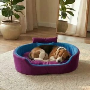 Bolster Orthopedic Dog Bed, dog bed, premium dog bed, orthopedic dog bed, soft dog bed, pet bed for dogs, comfortable dog bed, washable dog bed, dog bed with cushion, premium orthopedic dog bed for large dogs, soft and comfortable dog bed with cushion, durable dog bed with PU foam support, luxury pet bed for small and medium dogs, breathable dog bed for summer and winter, stylish modern dog bed for home, lightweight dog bed easy to carry, dog bed with bone shape pillow, buy dog bed online India, best dog bed for home use, affordable premium dog bed, high quality pet bed India, dog bed under budget, cozy dog bed, luxury pet comfort bed, soft plush dog bed, designer dog bed, pet sleeping bed, dog sofa bed, dog lounger bed, pet sofa bed, round dog bed, donut dog bed, calming dog bed, anti anxiety dog bed, raised edge dog bed, bolster dog bed, dog bed with side support, dog bed with high walls, puppy bed, small dog bed, medium dog bed, large dog bed, extra large dog bed, indoor dog bed, home pet bed, dog sleeping cushion, thick padded dog bed, fluffy dog bed, soft foam dog bed, PU foam dog bed, fiber filled dog bed, eco friendly dog bed, skin friendly dog bed, hypoallergenic dog bed, non toxic pet bed, durable pet bedding, long lasting dog bed, tear resistant dog bed, chew resistant dog bed, easy to clean dog bed, machine washable pet bed, removable cover dog bed, portable dog bed, travel dog bed, foldable dog bed, lightweight pet bed, luxury dog sofa, premium pet mattress, designer pet furniture, modern pet bed, aesthetic dog bed, comfortable pet mattress, pet relaxation bed, cozy pet nest, warm dog bed for winter, cool breathable dog bed for summer, all season dog bed, anti slip base dog bed, waterproof dog bed, indoor luxury pet bed, dog bed for crate, dog bed for living room, pet accessories dog bed, best selling dog bed, trending pet products, affordable pet bedding India, online pet supplies India
