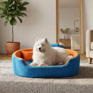 Bolster Orthopedic Dog Bed, dog bed, premium dog bed, orthopedic dog bed, soft dog bed, pet bed for dogs, comfortable dog bed, washable dog bed, dog bed with cushion, premium orthopedic dog bed for large dogs, soft and comfortable dog bed with cushion, durable dog bed with PU foam support, luxury pet bed for small and medium dogs, breathable dog bed for summer and winter, stylish modern dog bed for home, lightweight dog bed easy to carry, dog bed with bone shape pillow, buy dog bed online India, best dog bed for home use, affordable premium dog bed, high quality pet bed India, dog bed under budget, cozy dog bed, luxury pet comfort bed, soft plush dog bed, designer dog bed, pet sleeping bed, dog sofa bed, dog lounger bed, pet sofa bed, round dog bed, donut dog bed, calming dog bed, anti anxiety dog bed, raised edge dog bed, bolster dog bed, dog bed with side support, dog bed with high walls, puppy bed, small dog bed, medium dog bed, large dog bed, extra large dog bed, indoor dog bed, home pet bed, dog sleeping cushion, thick padded dog bed, fluffy dog bed, soft foam dog bed, PU foam dog bed, fiber filled dog bed, eco friendly dog bed, skin friendly dog bed, hypoallergenic dog bed, non toxic pet bed, durable pet bedding, long lasting dog bed, tear resistant dog bed, chew resistant dog bed, easy to clean dog bed, machine washable pet bed, removable cover dog bed, portable dog bed, travel dog bed, foldable dog bed, lightweight pet bed, luxury dog sofa, premium pet mattress, designer pet furniture, modern pet bed, aesthetic dog bed, comfortable pet mattress, pet relaxation bed, cozy pet nest, warm dog bed for winter, cool breathable dog bed for summer, all season dog bed, anti slip base dog bed, waterproof dog bed, indoor luxury pet bed, dog bed for crate, dog bed for living room, pet accessories dog bed, best selling dog bed, trending pet products, affordable pet bedding India, online pet supplies India