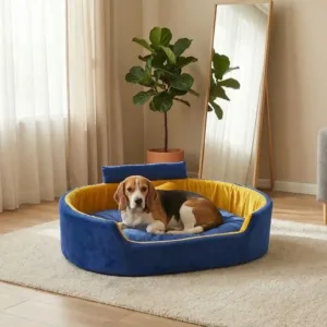 Bolster Orthopedic Dog Bed, dog bed, premium dog bed, orthopedic dog bed, soft dog bed, pet bed for dogs, comfortable dog bed, washable dog bed, dog bed with cushion, premium orthopedic dog bed for large dogs, soft and comfortable dog bed with cushion, durable dog bed with PU foam support, luxury pet bed for small and medium dogs, breathable dog bed for summer and winter, stylish modern dog bed for home, lightweight dog bed easy to carry, dog bed with bone shape pillow, buy dog bed online India, best dog bed for home use, affordable premium dog bed, high quality pet bed India, dog bed under budget, cozy dog bed, luxury pet comfort bed, soft plush dog bed, designer dog bed, pet sleeping bed, dog sofa bed, dog lounger bed, pet sofa bed, round dog bed, donut dog bed, calming dog bed, anti anxiety dog bed, raised edge dog bed, bolster dog bed, dog bed with side support, dog bed with high walls, puppy bed, small dog bed, medium dog bed, large dog bed, extra large dog bed, indoor dog bed, home pet bed, dog sleeping cushion, thick padded dog bed, fluffy dog bed, soft foam dog bed, PU foam dog bed, fiber filled dog bed, eco friendly dog bed, skin friendly dog bed, hypoallergenic dog bed, non toxic pet bed, durable pet bedding, long lasting dog bed, tear resistant dog bed, chew resistant dog bed, easy to clean dog bed, machine washable pet bed, removable cover dog bed, portable dog bed, travel dog bed, foldable dog bed, lightweight pet bed, luxury dog sofa, premium pet mattress, designer pet furniture, modern pet bed, aesthetic dog bed, comfortable pet mattress, pet relaxation bed, cozy pet nest, warm dog bed for winter, cool breathable dog bed for summer, all season dog bed, anti slip base dog bed, waterproof dog bed, indoor luxury pet bed, dog bed for crate, dog bed for living room, pet accessories dog bed, best selling dog bed, trending pet products, affordable pet bedding India, online pet supplies India