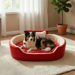 Bolster Orthopedic Dog Bed, dog bed, premium dog bed, orthopedic dog bed, soft dog bed, pet bed for dogs, comfortable dog bed, washable dog bed, dog bed with cushion, premium orthopedic dog bed for large dogs, soft and comfortable dog bed with cushion, durable dog bed with PU foam support, luxury pet bed for small and medium dogs, breathable dog bed for summer and winter, stylish modern dog bed for home, lightweight dog bed easy to carry, dog bed with bone shape pillow, buy dog bed online India, best dog bed for home use, affordable premium dog bed, high quality pet bed India, dog bed under budget, cozy dog bed, luxury pet comfort bed, soft plush dog bed, designer dog bed, pet sleeping bed, dog sofa bed, dog lounger bed, pet sofa bed, round dog bed, donut dog bed, calming dog bed, anti anxiety dog bed, raised edge dog bed, bolster dog bed, dog bed with side support, dog bed with high walls, puppy bed, small dog bed, medium dog bed, large dog bed, extra large dog bed, indoor dog bed, home pet bed, dog sleeping cushion, thick padded dog bed, fluffy dog bed, soft foam dog bed, PU foam dog bed, fiber filled dog bed, eco friendly dog bed, skin friendly dog bed, hypoallergenic dog bed, non toxic pet bed, durable pet bedding, long lasting dog bed, tear resistant dog bed, chew resistant dog bed, easy to clean dog bed, machine washable pet bed, removable cover dog bed, portable dog bed, travel dog bed, foldable dog bed, lightweight pet bed, luxury dog sofa, premium pet mattress, designer pet furniture, modern pet bed, aesthetic dog bed, comfortable pet mattress, pet relaxation bed, cozy pet nest, warm dog bed for winter, cool breathable dog bed for summer, all season dog bed, anti slip base dog bed, waterproof dog bed, indoor luxury pet bed, dog bed for crate, dog bed for living room, pet accessories dog bed, best selling dog bed, trending pet products, affordable pet bedding India, online pet supplies India