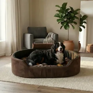 Bolster Orthopedic Dog Bed, dog bed, premium dog bed, orthopedic dog bed, soft dog bed, pet bed for dogs, comfortable dog bed, washable dog bed, dog bed with cushion, premium orthopedic dog bed for large dogs, soft and comfortable dog bed with cushion, durable dog bed with PU foam support, luxury pet bed for small and medium dogs, breathable dog bed for summer and winter, stylish modern dog bed for home, lightweight dog bed easy to carry, dog bed with bone shape pillow, buy dog bed online India, best dog bed for home use, affordable premium dog bed, high quality pet bed India, dog bed under budget, cozy dog bed, luxury pet comfort bed, soft plush dog bed, designer dog bed, pet sleeping bed, dog sofa bed, dog lounger bed, pet sofa bed, round dog bed, donut dog bed, calming dog bed, anti anxiety dog bed, raised edge dog bed, bolster dog bed, dog bed with side support, dog bed with high walls, puppy bed, small dog bed, medium dog bed, large dog bed, extra large dog bed, indoor dog bed, home pet bed, dog sleeping cushion, thick padded dog bed, fluffy dog bed, soft foam dog bed, PU foam dog bed, fiber filled dog bed, eco friendly dog bed, skin friendly dog bed, hypoallergenic dog bed, non toxic pet bed, durable pet bedding, long lasting dog bed, tear resistant dog bed, chew resistant dog bed, easy to clean dog bed, machine washable pet bed, removable cover dog bed, portable dog bed, travel dog bed, foldable dog bed, lightweight pet bed, luxury dog sofa, premium pet mattress, designer pet furniture, modern pet bed, aesthetic dog bed, comfortable pet mattress, pet relaxation bed, cozy pet nest, warm dog bed for winter, cool breathable dog bed for summer, all season dog bed, anti slip base dog bed, waterproof dog bed, indoor luxury pet bed, dog bed for crate, dog bed for living room, pet accessories dog bed, best selling dog bed, trending pet products, affordable pet bedding India, online pet supplies India