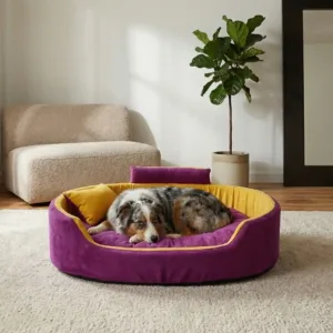 Bolster Orthopedic Dog Bed, dog bed, premium dog bed, orthopedic dog bed, soft dog bed, pet bed for dogs, comfortable dog bed, washable dog bed, dog bed with cushion, premium orthopedic dog bed for large dogs, soft and comfortable dog bed with cushion, durable dog bed with PU foam support, luxury pet bed for small and medium dogs, breathable dog bed for summer and winter, stylish modern dog bed for home, lightweight dog bed easy to carry, dog bed with bone shape pillow, buy dog bed online India, best dog bed for home use, affordable premium dog bed, high quality pet bed India, dog bed under budget, cozy dog bed, luxury pet comfort bed, soft plush dog bed, designer dog bed, pet sleeping bed, dog sofa bed, dog lounger bed, pet sofa bed, round dog bed, donut dog bed, calming dog bed, anti anxiety dog bed, raised edge dog bed, bolster dog bed, dog bed with side support, dog bed with high walls, puppy bed, small dog bed, medium dog bed, large dog bed, extra large dog bed, indoor dog bed, home pet bed, dog sleeping cushion, thick padded dog bed, fluffy dog bed, soft foam dog bed, PU foam dog bed, fiber filled dog bed, eco friendly dog bed, skin friendly dog bed, hypoallergenic dog bed, non toxic pet bed, durable pet bedding, long lasting dog bed, tear resistant dog bed, chew resistant dog bed, easy to clean dog bed, machine washable pet bed, removable cover dog bed, portable dog bed, travel dog bed, foldable dog bed, lightweight pet bed, luxury dog sofa, premium pet mattress, designer pet furniture, modern pet bed, aesthetic dog bed, comfortable pet mattress, pet relaxation bed, cozy pet nest, warm dog bed for winter, cool breathable dog bed for summer, all season dog bed, anti slip base dog bed, waterproof dog bed, indoor luxury pet bed, dog bed for crate, dog bed for living room, pet accessories dog bed, best selling dog bed, trending pet products, affordable pet bedding India, online pet supplies India