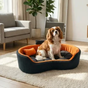 Bolster Orthopedic Dog Bed, dog bed, premium dog bed, orthopedic dog bed, soft dog bed, pet bed for dogs, comfortable dog bed, washable dog bed, dog bed with cushion, premium orthopedic dog bed for large dogs, soft and comfortable dog bed with cushion, durable dog bed with PU foam support, luxury pet bed for small and medium dogs, breathable dog bed for summer and winter, stylish modern dog bed for home, lightweight dog bed easy to carry, dog bed with bone shape pillow, buy dog bed online India, best dog bed for home use, affordable premium dog bed, high quality pet bed India, dog bed under budget, cozy dog bed, luxury pet comfort bed, soft plush dog bed, designer dog bed, pet sleeping bed, dog sofa bed, dog lounger bed, pet sofa bed, round dog bed, donut dog bed, calming dog bed, anti anxiety dog bed, raised edge dog bed, bolster dog bed, dog bed with side support, dog bed with high walls, puppy bed, small dog bed, medium dog bed, large dog bed, extra large dog bed, indoor dog bed, home pet bed, dog sleeping cushion, thick padded dog bed, fluffy dog bed, soft foam dog bed, PU foam dog bed, fiber filled dog bed, eco friendly dog bed, skin friendly dog bed, hypoallergenic dog bed, non toxic pet bed, durable pet bedding, long lasting dog bed, tear resistant dog bed, chew resistant dog bed, easy to clean dog bed, machine washable pet bed, removable cover dog bed, portable dog bed, travel dog bed, foldable dog bed, lightweight pet bed, luxury dog sofa, premium pet mattress, designer pet furniture, modern pet bed, aesthetic dog bed, comfortable pet mattress, pet relaxation bed, cozy pet nest, warm dog bed for winter, cool breathable dog bed for summer, all season dog bed, anti slip base dog bed, waterproof dog bed, indoor luxury pet bed, dog bed for crate, dog bed for living room, pet accessories dog bed, best selling dog bed, trending pet products, affordable pet bedding India, online pet supplies India