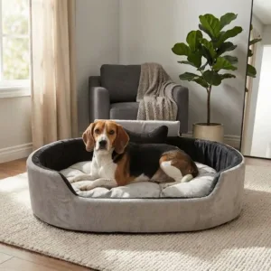 Bolster Orthopedic Dog Bed, dog bed, premium dog bed, orthopedic dog bed, soft dog bed, pet bed for dogs, comfortable dog bed, washable dog bed, dog bed with cushion, premium orthopedic dog bed for large dogs, soft and comfortable dog bed with cushion, durable dog bed with PU foam support, luxury pet bed for small and medium dogs, breathable dog bed for summer and winter, stylish modern dog bed for home, lightweight dog bed easy to carry, dog bed with bone shape pillow, buy dog bed online India, best dog bed for home use, affordable premium dog bed, high quality pet bed India, dog bed under budget, cozy dog bed, luxury pet comfort bed, soft plush dog bed, designer dog bed, pet sleeping bed, dog sofa bed, dog lounger bed, pet sofa bed, round dog bed, donut dog bed, calming dog bed, anti anxiety dog bed, raised edge dog bed, bolster dog bed, dog bed with side support, dog bed with high walls, puppy bed, small dog bed, medium dog bed, large dog bed, extra large dog bed, indoor dog bed, home pet bed, dog sleeping cushion, thick padded dog bed, fluffy dog bed, soft foam dog bed, PU foam dog bed, fiber filled dog bed, eco friendly dog bed, skin friendly dog bed, hypoallergenic dog bed, non toxic pet bed, durable pet bedding, long lasting dog bed, tear resistant dog bed, chew resistant dog bed, easy to clean dog bed, machine washable pet bed, removable cover dog bed, portable dog bed, travel dog bed, foldable dog bed, lightweight pet bed, luxury dog sofa, premium pet mattress, designer pet furniture, modern pet bed, aesthetic dog bed, comfortable pet mattress, pet relaxation bed, cozy pet nest, warm dog bed for winter, cool breathable dog bed for summer, all season dog bed, anti slip base dog bed, waterproof dog bed, indoor luxury pet bed, dog bed for crate, dog bed for living room, pet accessories dog bed, best selling dog bed, trending pet products, affordable pet bedding India, online pet supplies India